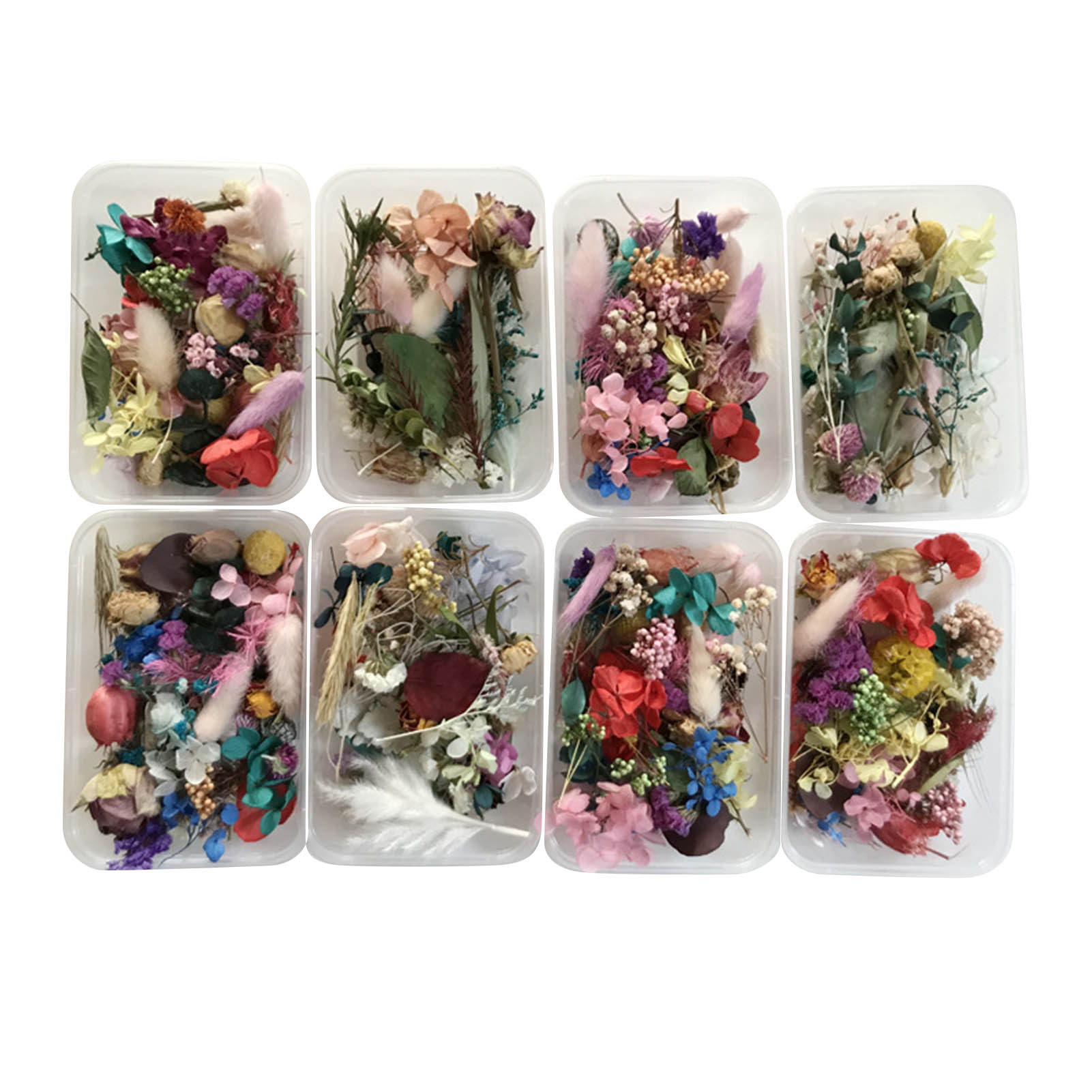 Dried Herbs - Kit di fiori secchi naturali opere