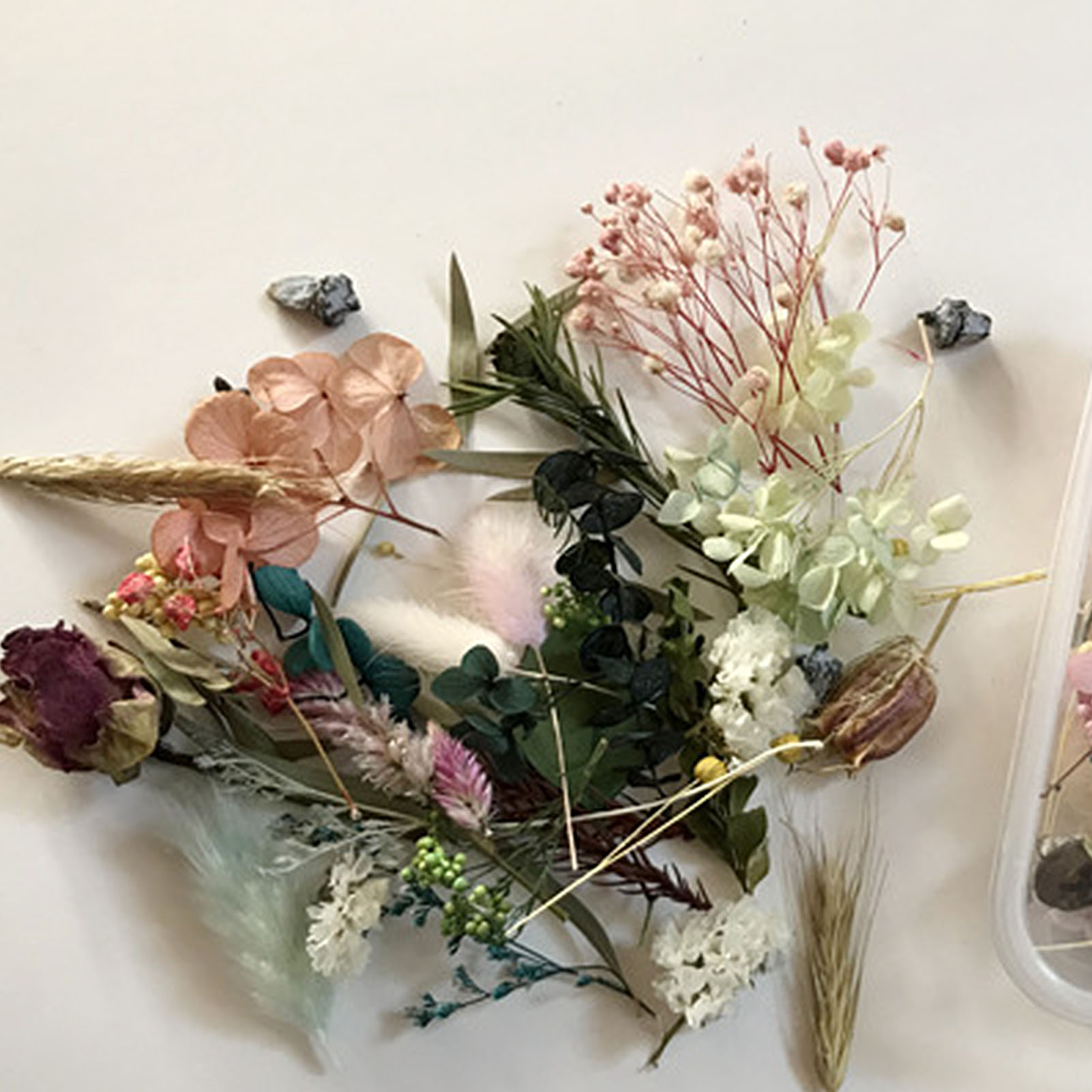 Kit di fiori secchi naturali o - Dried Herbs recensione e prezzo