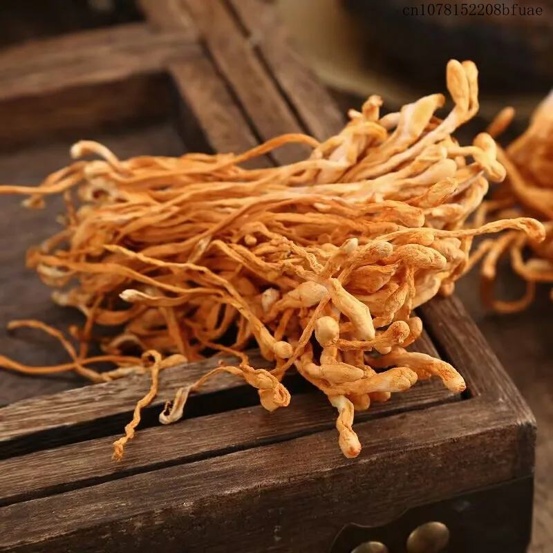250g/500g Fiori di Cordyceps E - Dried Herbs recensione e prezzo