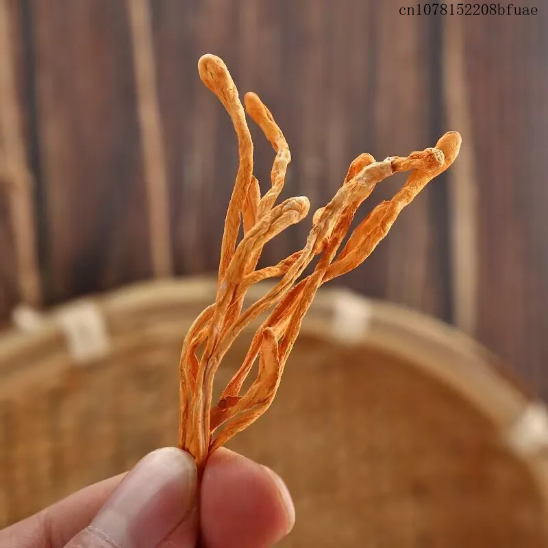 250g/500g Fiori di Cordyceps E - Dried Herbs recensione e prezzo