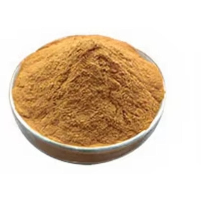 Macchina per la macinazione e  - Turmeric recensione e prezzo