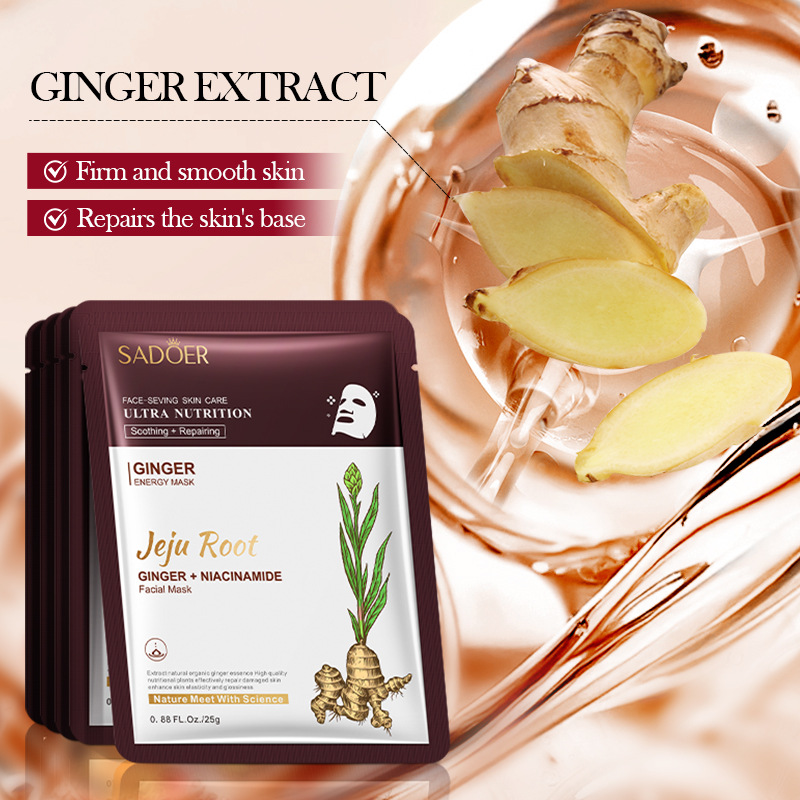5 pz SADOER Radice di Pianta M - Ginger Tea recensione e prezzo