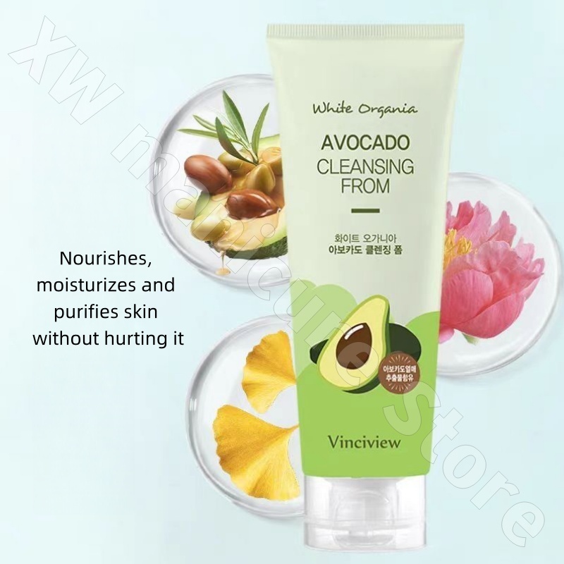Coreano Camomilla Tea Tree Avo - Chamomile Tea recensione e prezzo