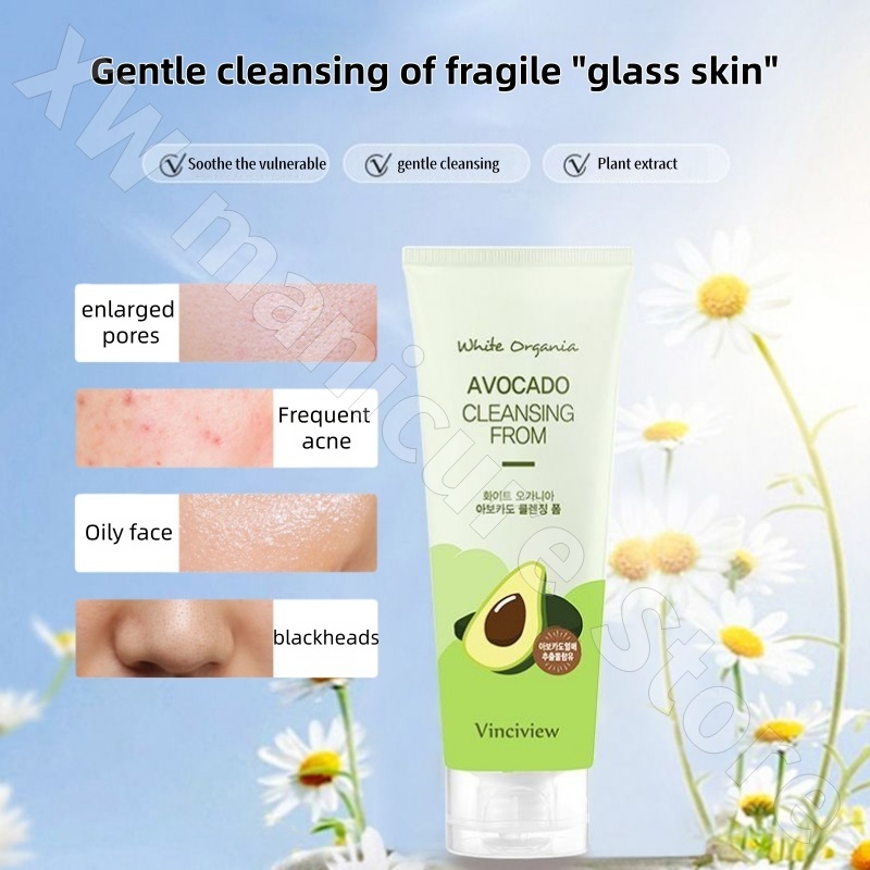 Coreano Camomilla Tea Tree Avo - Chamomile Tea recensione e prezzo