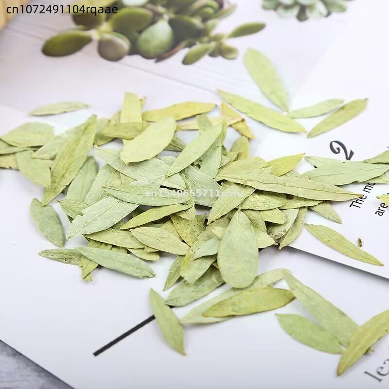 Foglie e Polvere di Senna Biol - Dried Herbs recensione e prezzo